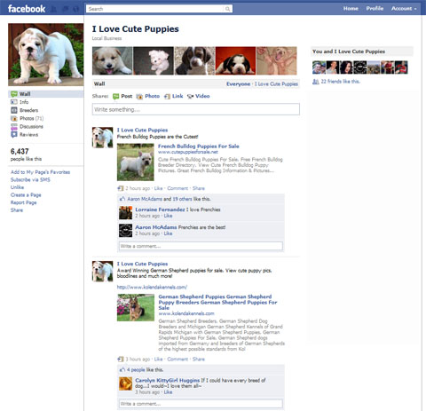 Facebook Advertising Companies