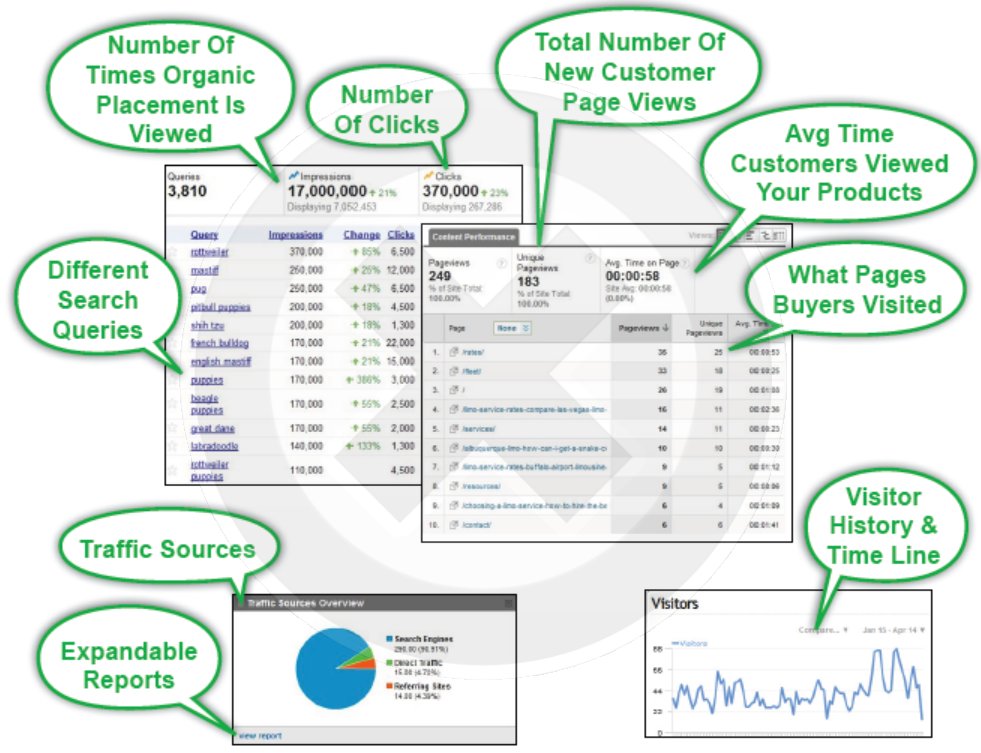 seo reports