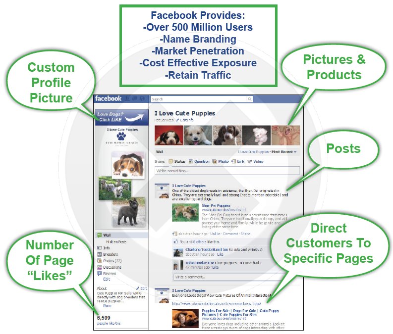 Facebook-Advertising-Costs