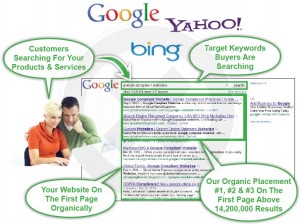 Search Engine Optimization