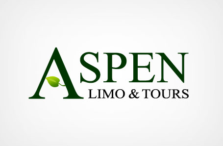 Aspen-Limo-Tours-Web-Design-small-01