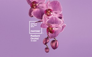 Pantone 2014 Color of the Year - Radiant Orchid
