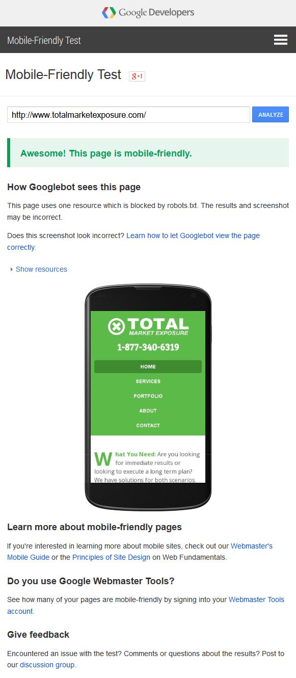 Google Mobile Friendly Webmaster Test