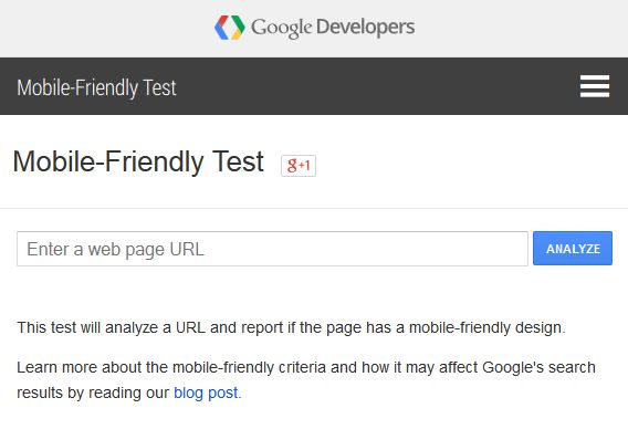 Mobile Friendly Website Test