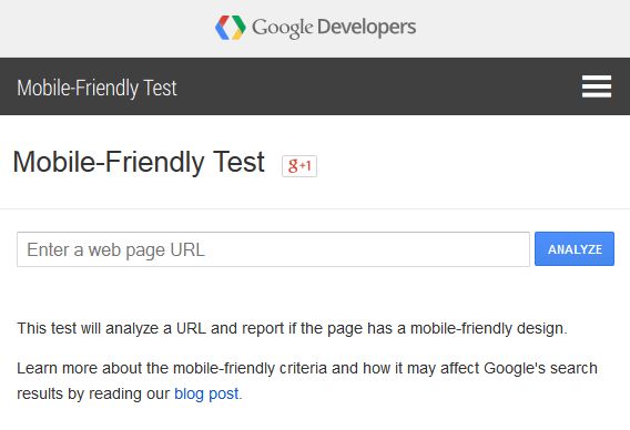 Mobile Friendly Website Test